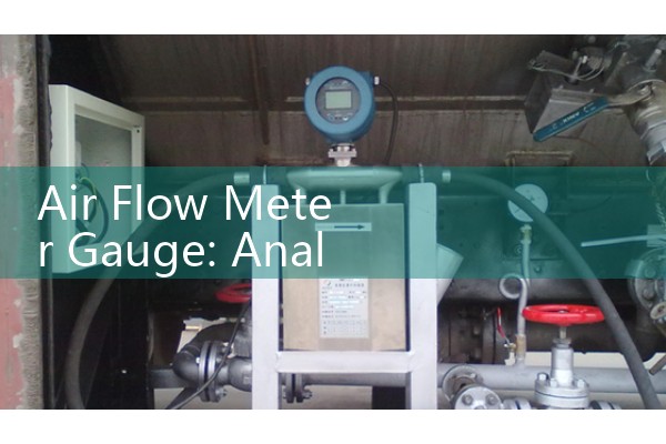 10 G/H Flow Meter Mass Measurement Verification Specs